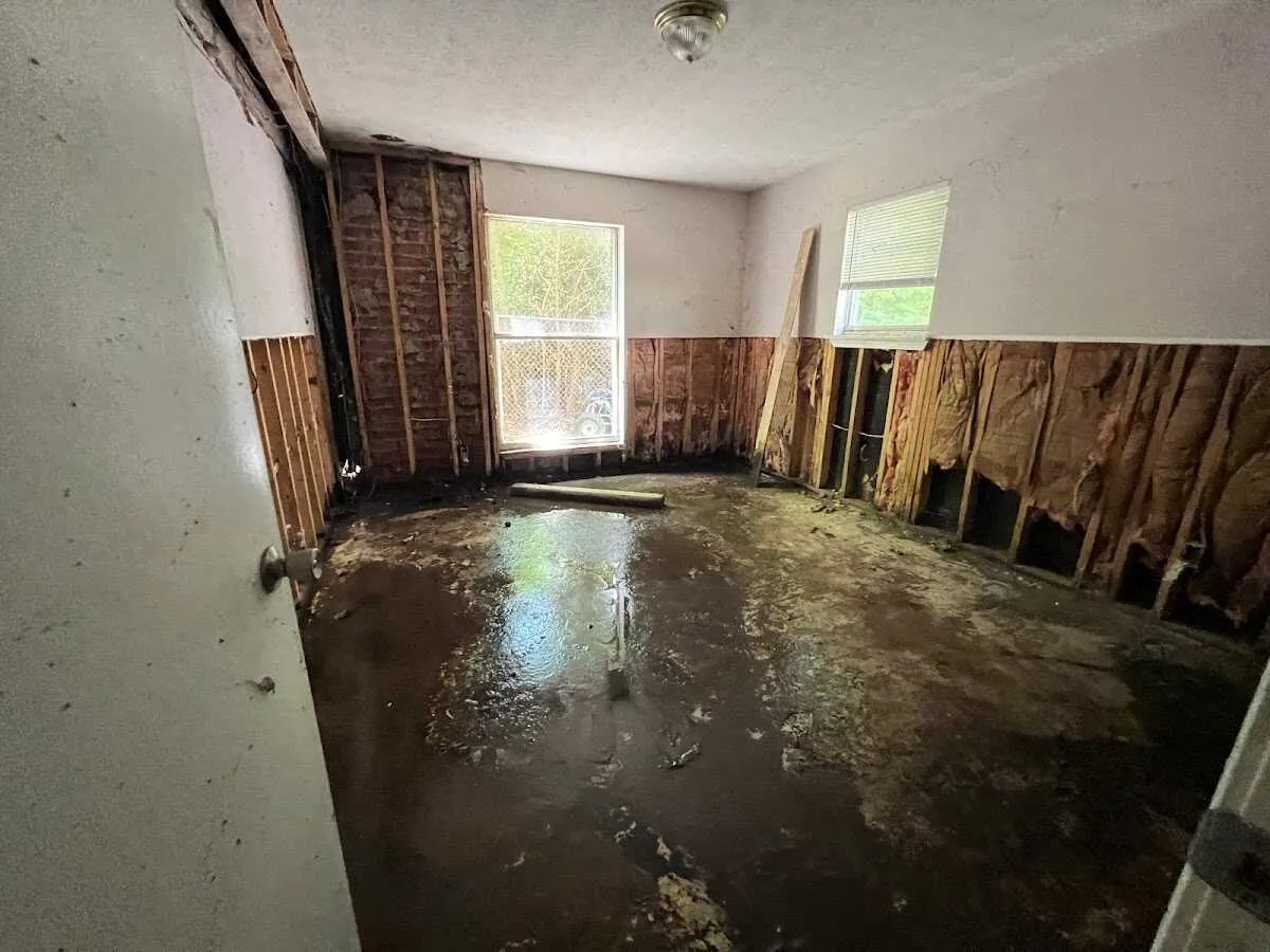 Water Damage Restoration services in Seffner, FL